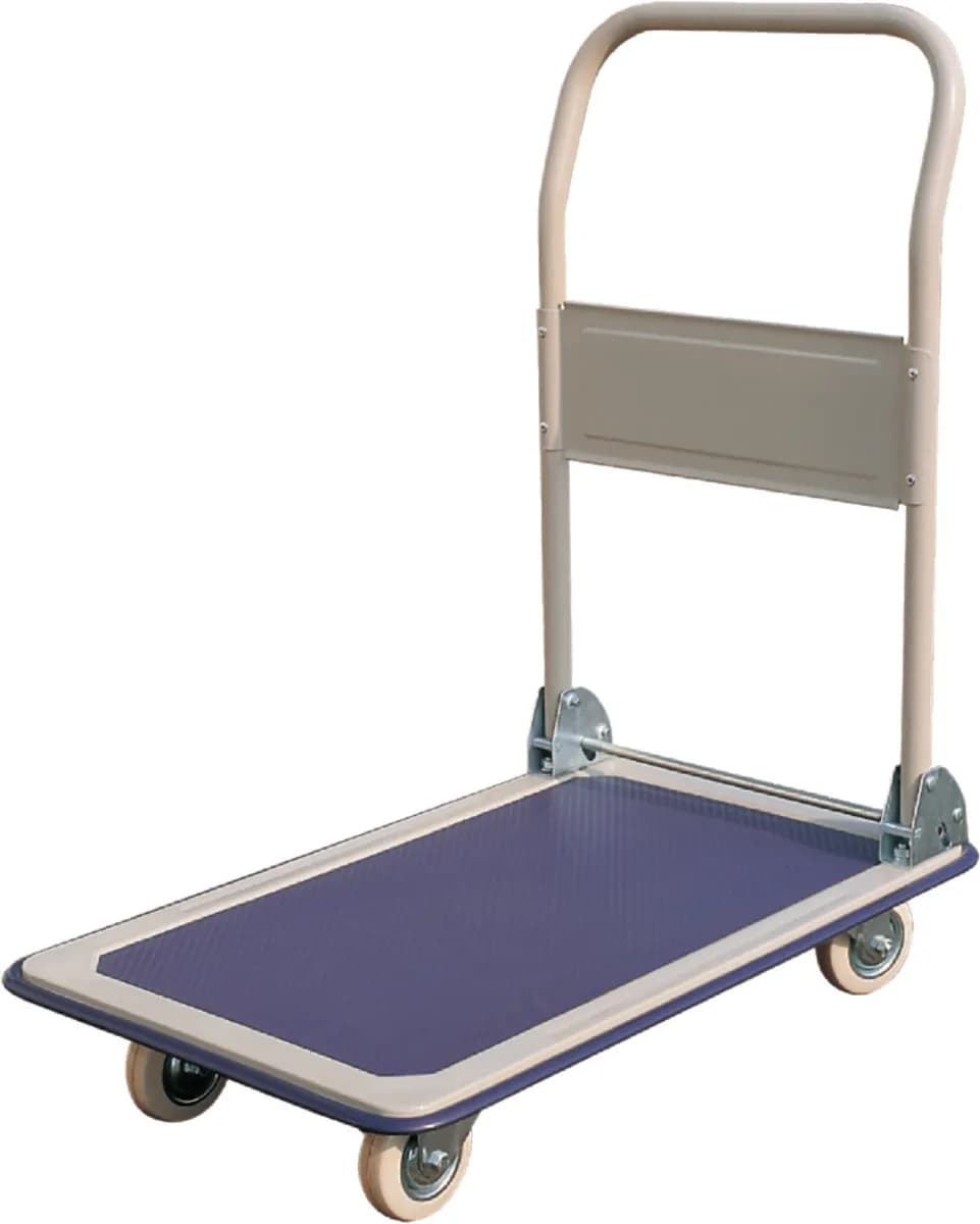 Biglift RM-TSS11 Paket Taşıma 150 Kg