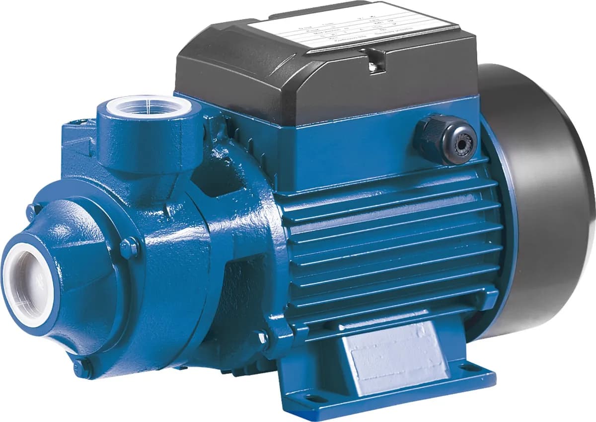 Rainpump RAINQB70-0,7HP QB70-0,7 Hp Santrifuj Pompa