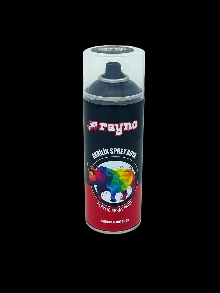 Rayno Sprey Boya 250 ml Mat Beyaz RAL 9010